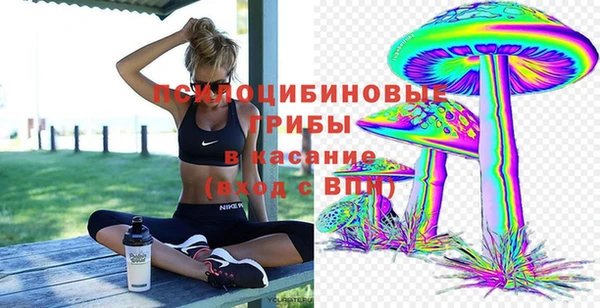 крисы Балабаново