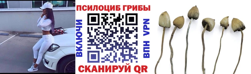 Галлюциногенные грибы мухоморы  хочу   Бор 